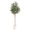 6ft. Artificial Olive Tree with White Decorative Planter